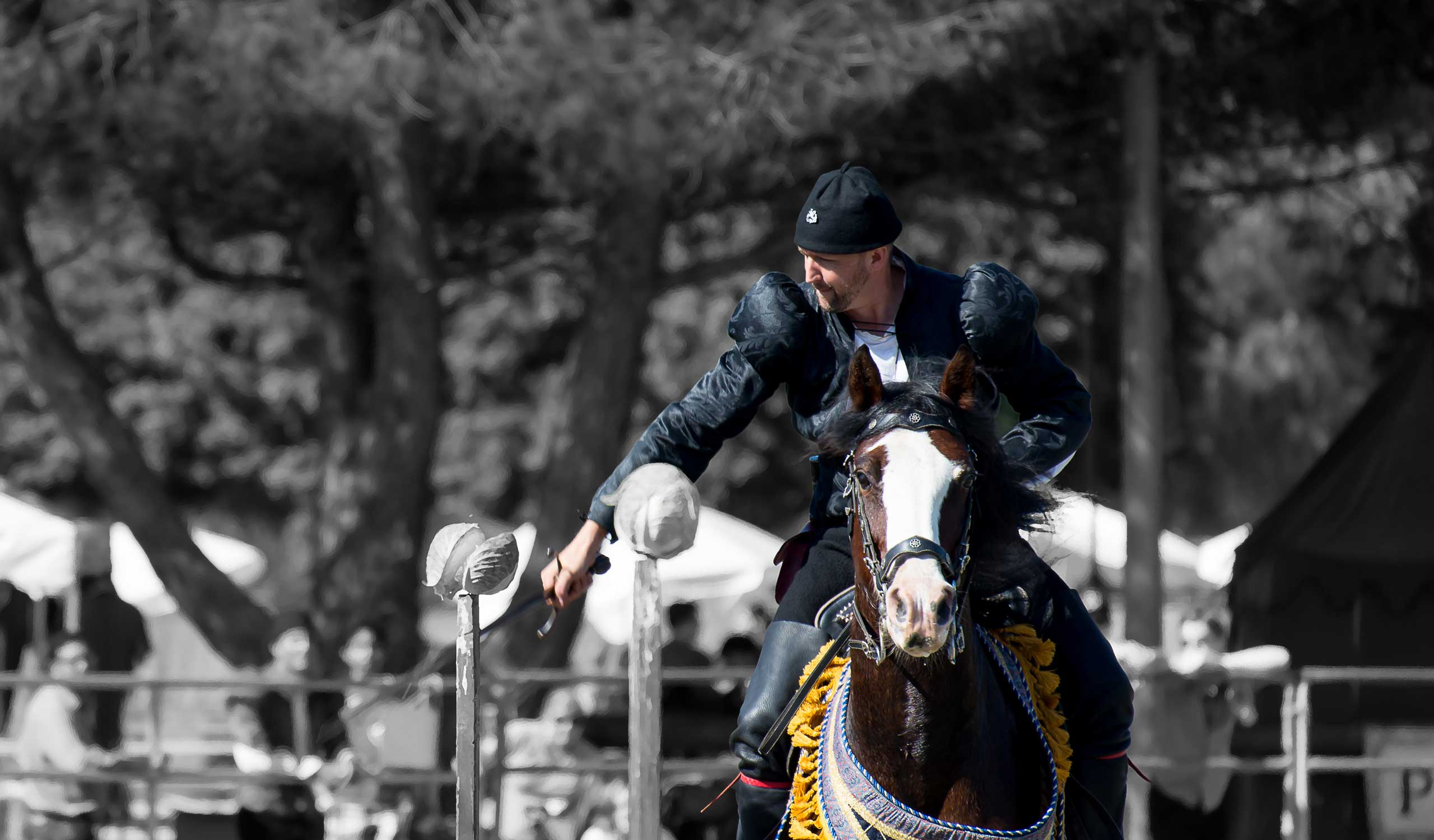 Mounted Skills-at-Arms